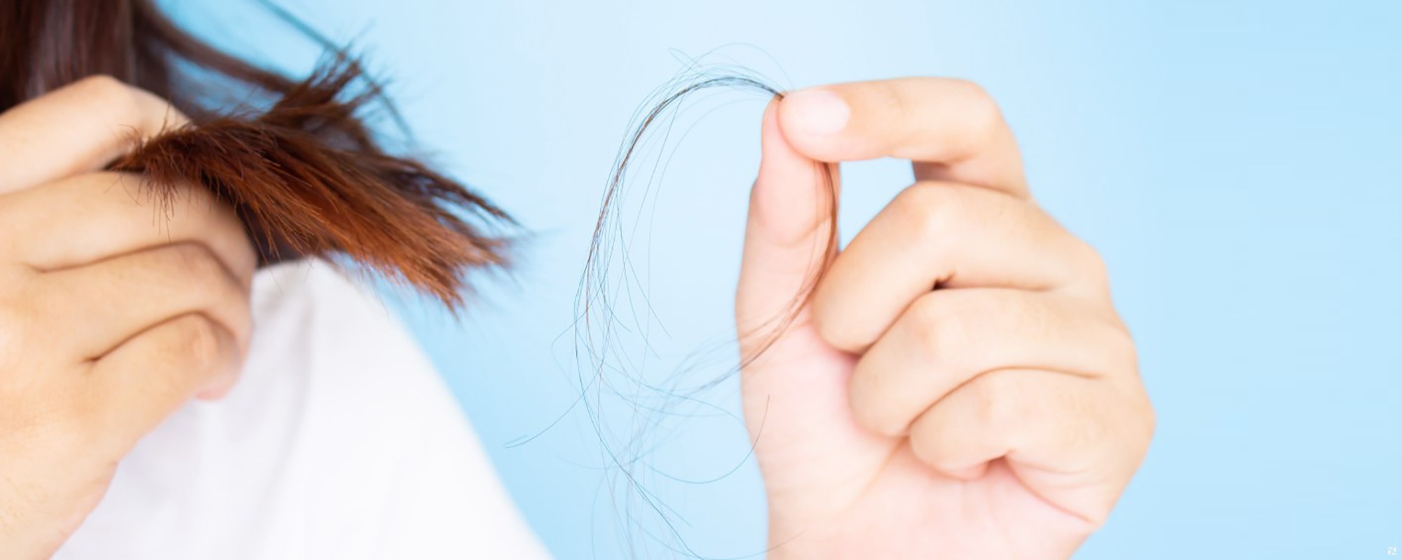 5 dicas para acabar com o cabelo quebrado